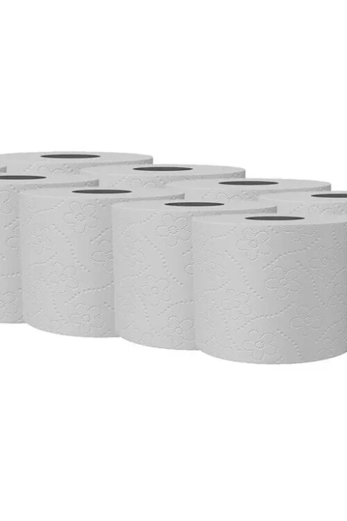 Toaletní papír 2-vrstvý, 10ks