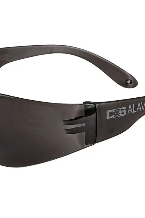 Brýle CXS-OPSIS ALAVO, kouřové